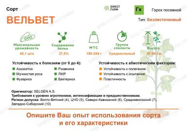 Вельвет (VELVET)сорт гороха посевного