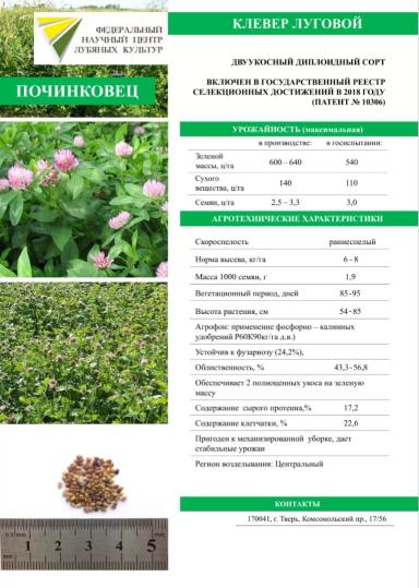 Починковец