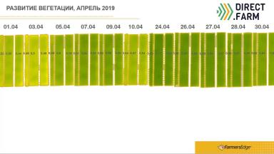 NDVI на эксперименте Дискование, Вспашка, Ноу Тилл (2019)