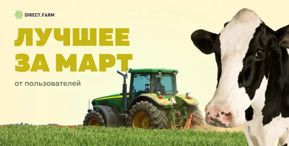 ТОП-постов от пользователей DF за март