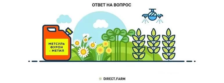 Гербицидная обработка ячменя