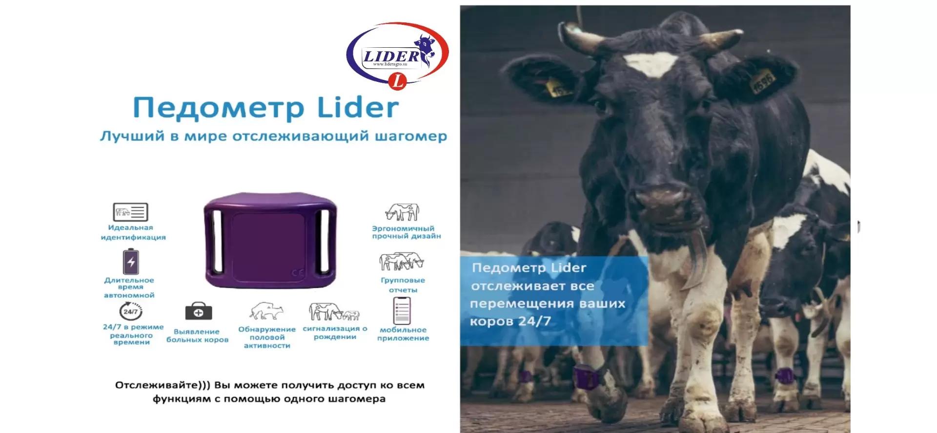 Почему Датчики выявления половой охоты Педометр Lider?