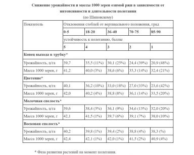 Причины полегания зерновых и способы предотвращения