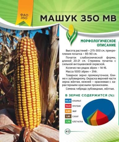 Машук 350 МВ