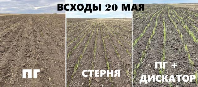 Результаты эксперимента по видам обработки зяби