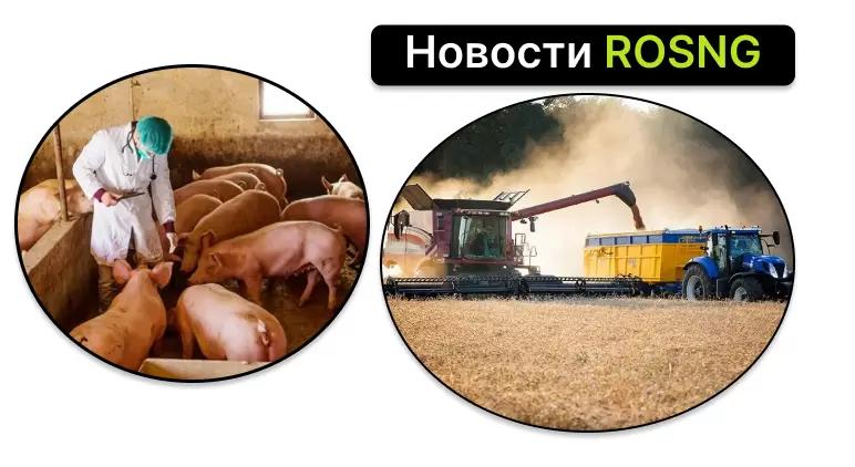 Обзор новостей за 5 сентября