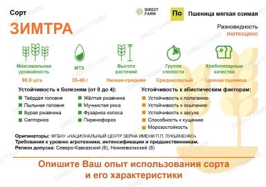 Зимтра сорт мягкой озимой пшеницы