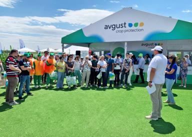 «Август» на «Всероссийском Дне поля-2024». День второй