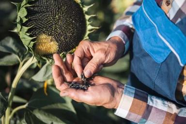 Обзор новостей за 22-23 февраля