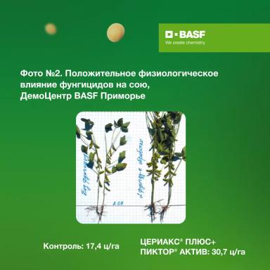 ЦЕРИАКС® ПЛЮС: эффективность на практике