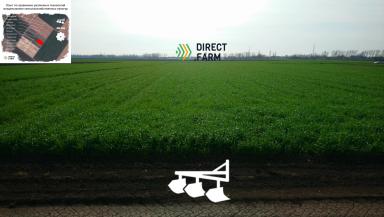 Дискование, вспашка, ноу тилл