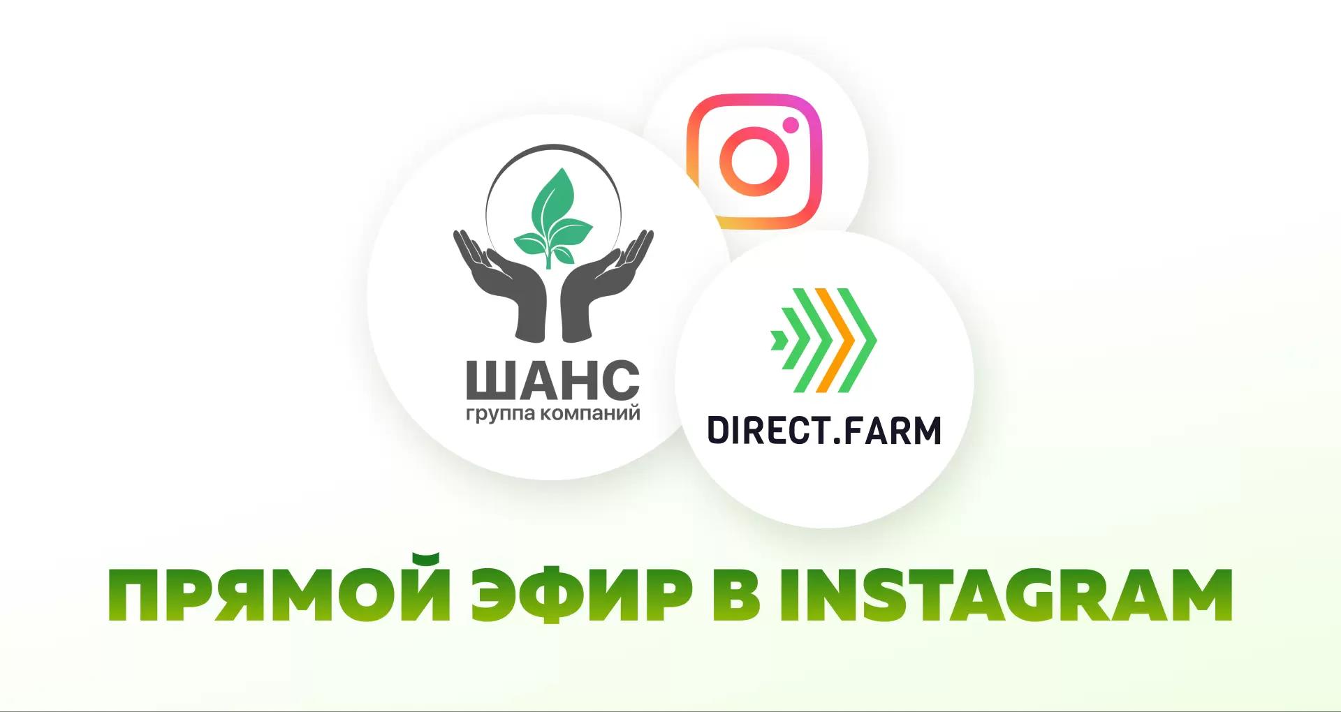 Прямой эфир с ГК "Шанс"!