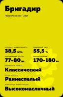 Бригадир сорт подсолнечника