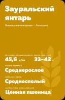 Зауральский янтарь сорт мягкой яровой пшеницы