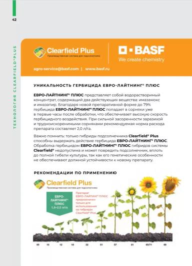 Светлана КЛП