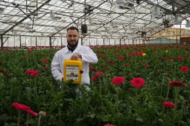 Боверикс и энтомофаги – мощная защита растений от вредителей