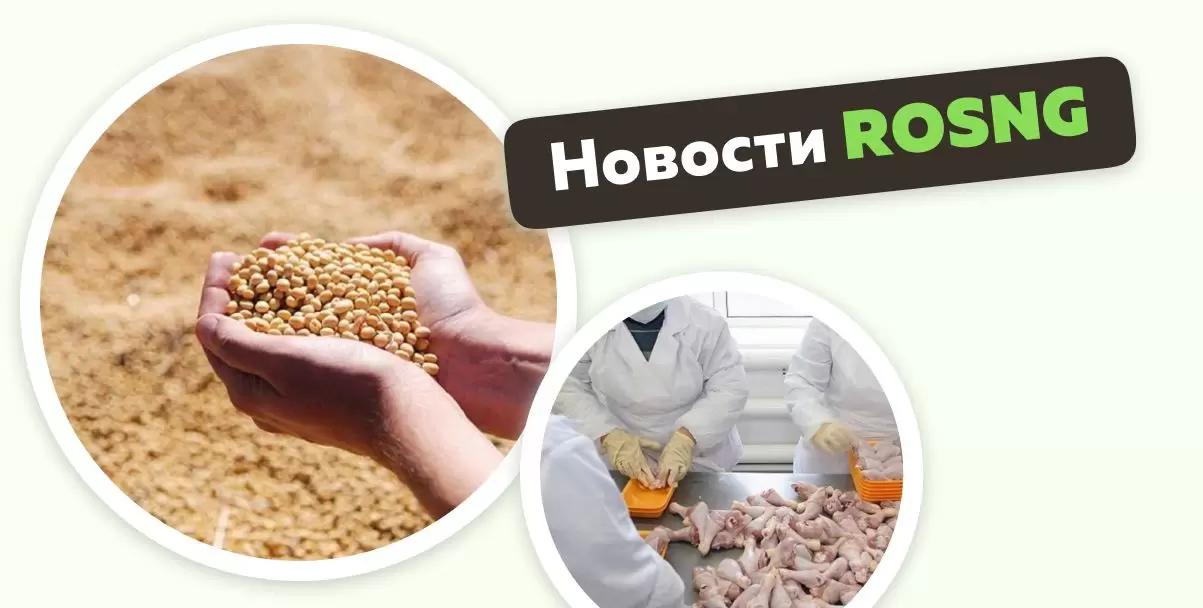 Обзор новостей за 14-15 октября