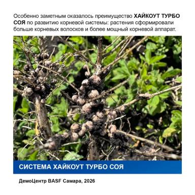 Продолжается активная работа по оценке технологий для защиты и питания сои