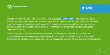 5 декабря — Всемирный день почв