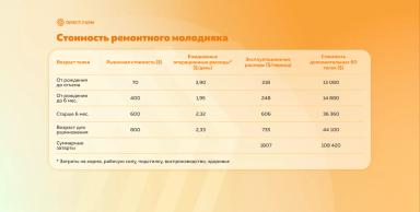 Экономическая эффективность от оптимизации управления ремонтными телками