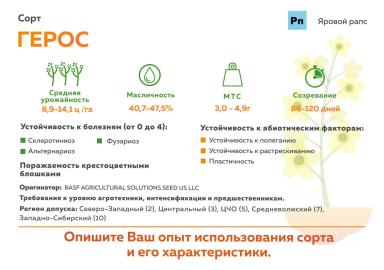 Герос ® (HEROS) сорт рапса ярового