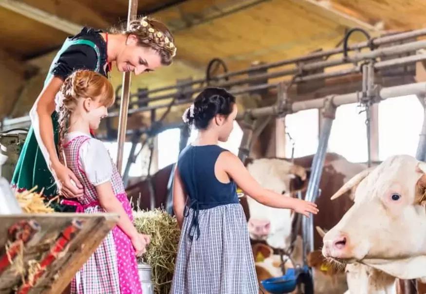 Идеи для фермерского бизнеса