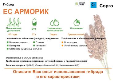 Арморик (ARMORIK)