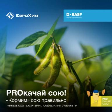 PROкачай сою! "Кормим" сою правильно