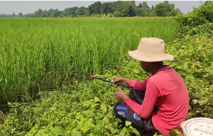 8 способов дополнительного заработка в сельском хозяйстве