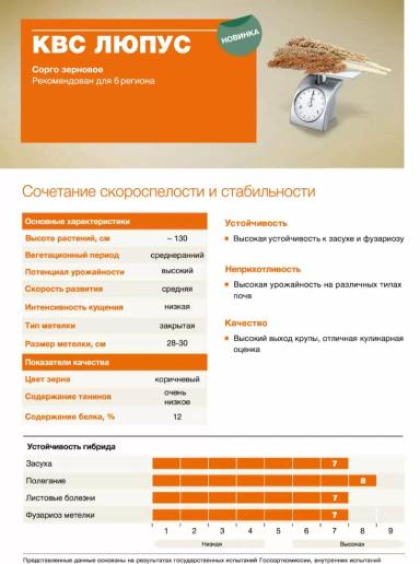 КВС Люпус (KWS LUPUS)