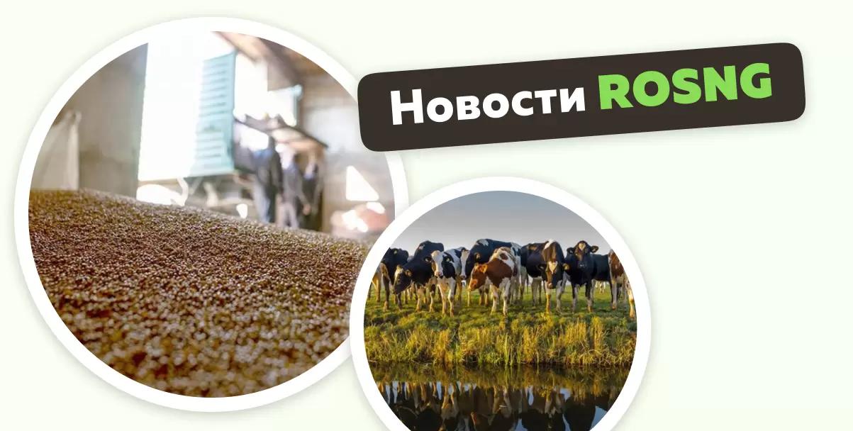 Обзор новостей за 19 декабря