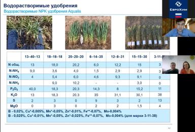 Система удобрения озимой пшеницы