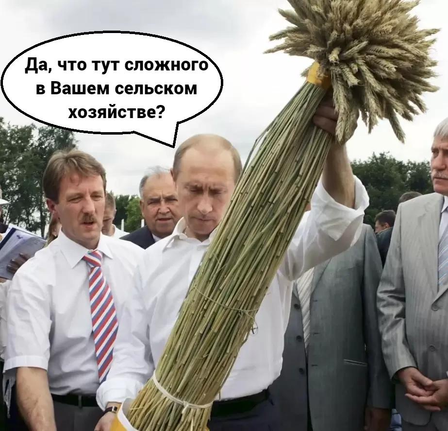 Путин поручил обновить стратегию развития АПК до 2030 года
