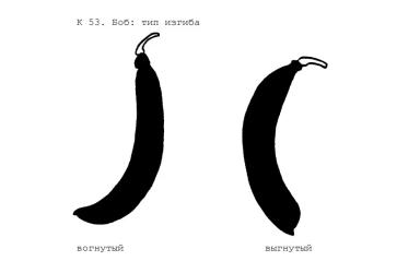 Методика испытания на отличимость, однородность и стабильность гороха