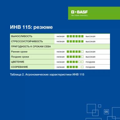 ИНВ 115: результат 20 лет селекционной работы
