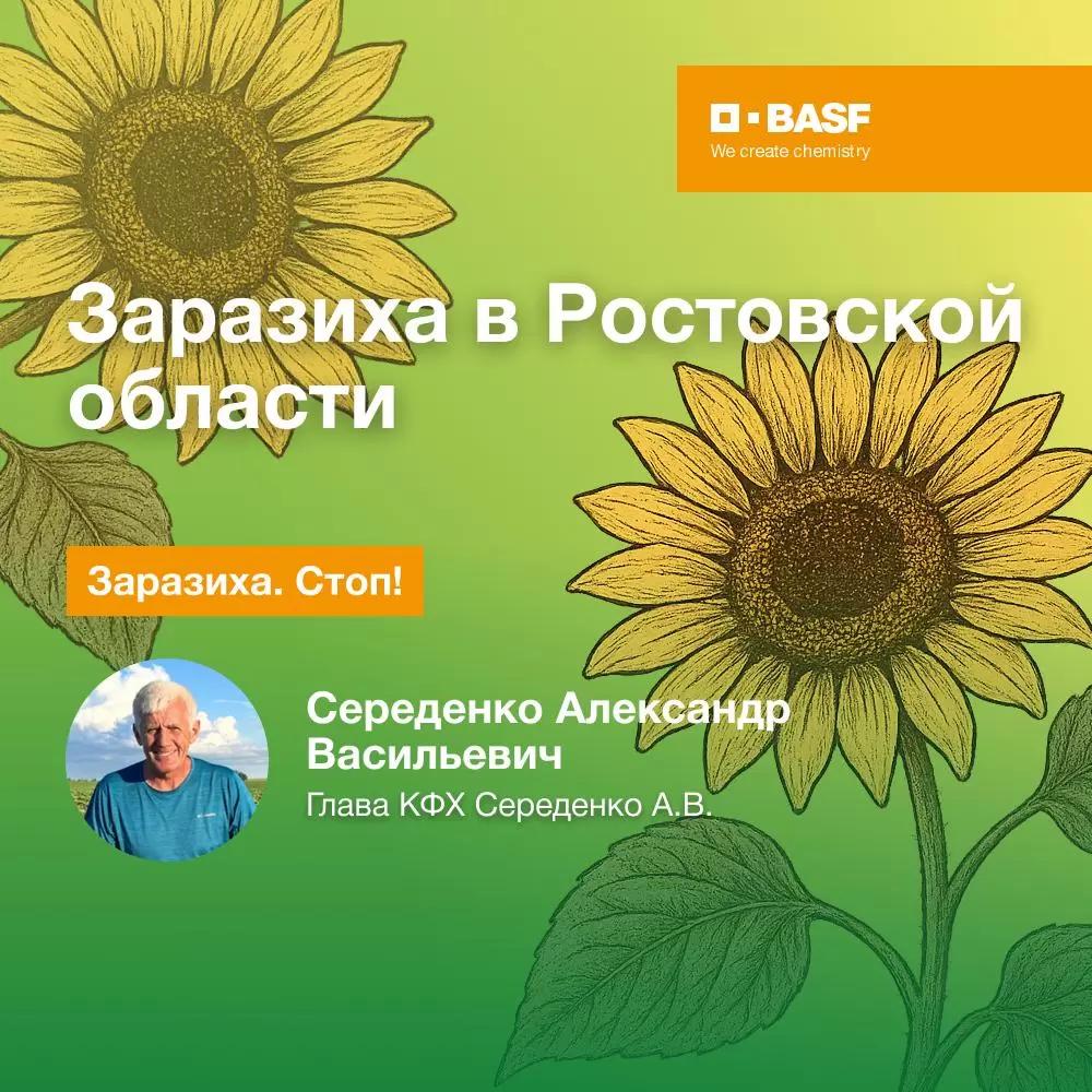 Заразиха в Ростовской области