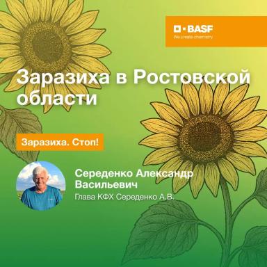 Заразиха в Ростовской области