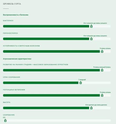 Кордоба (CORDOBA) сорт сои