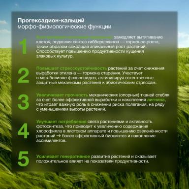 Замедление выработки гормонов-гиббереллинов