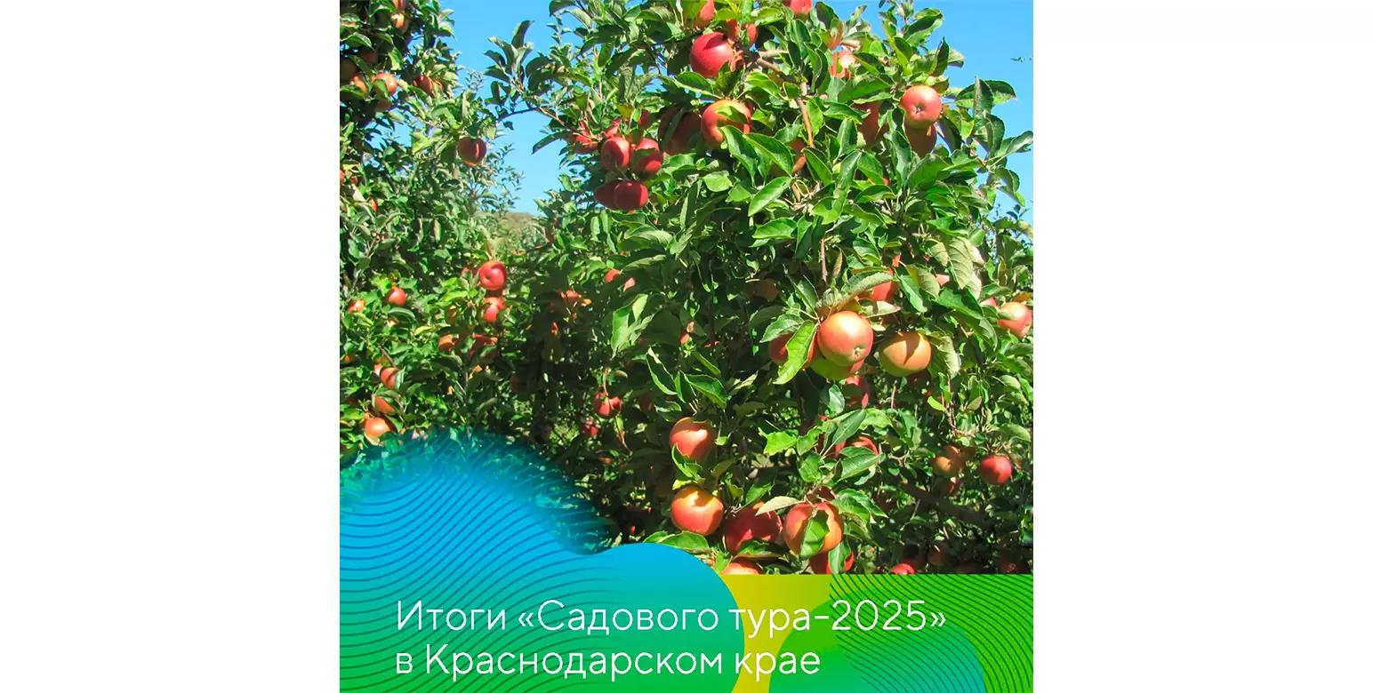 Итоги «Садового тура» «Августа»