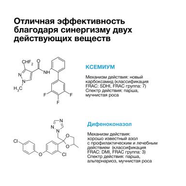 СЕРКАДИС® ПЛЮС: высокая эффективность защиты садов от парши и мучнистой росы