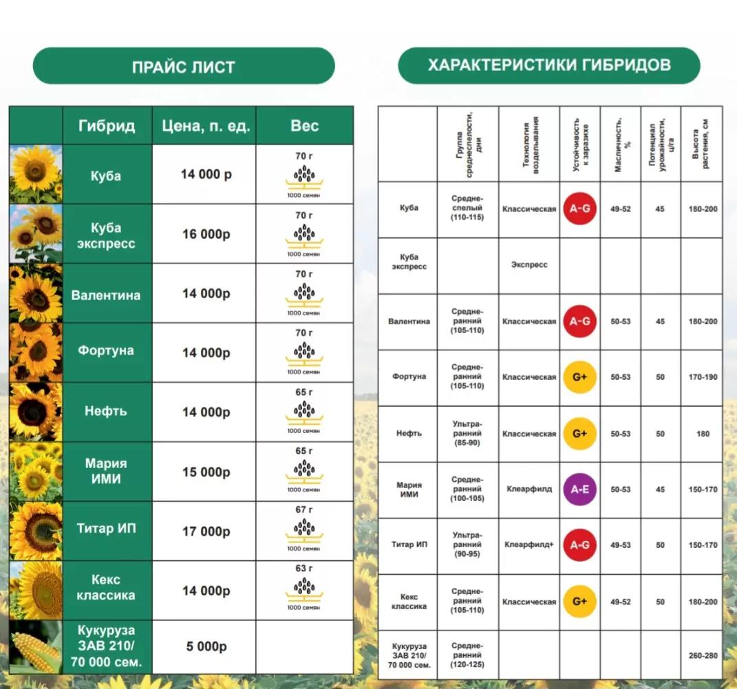 ООО БлагоДар является официальным представителем семеноводческой компании