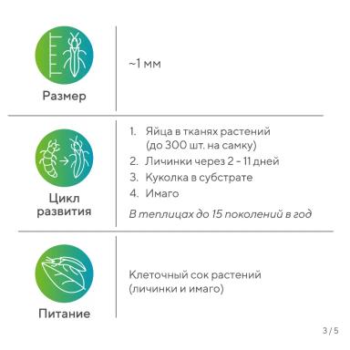 «Вредный объект? У «Августа» ответ!»