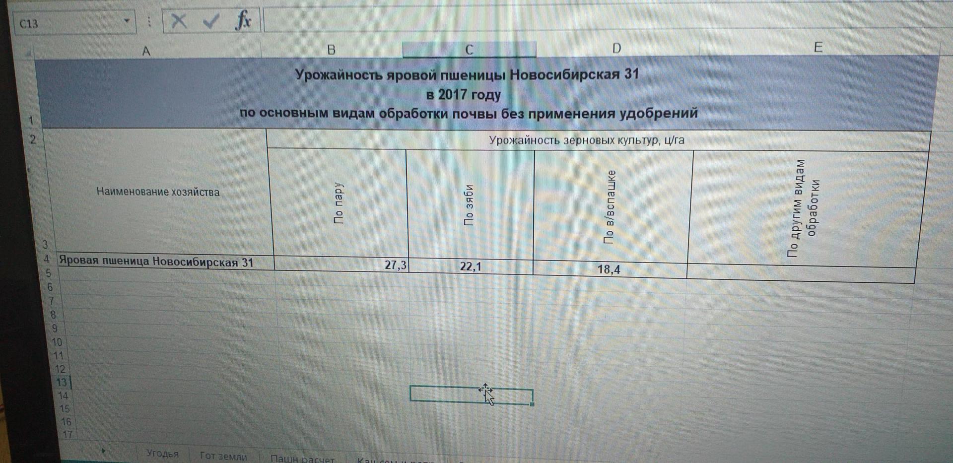 Эксперимент по определению урожайности яровой пшеницы Новосибирская 31