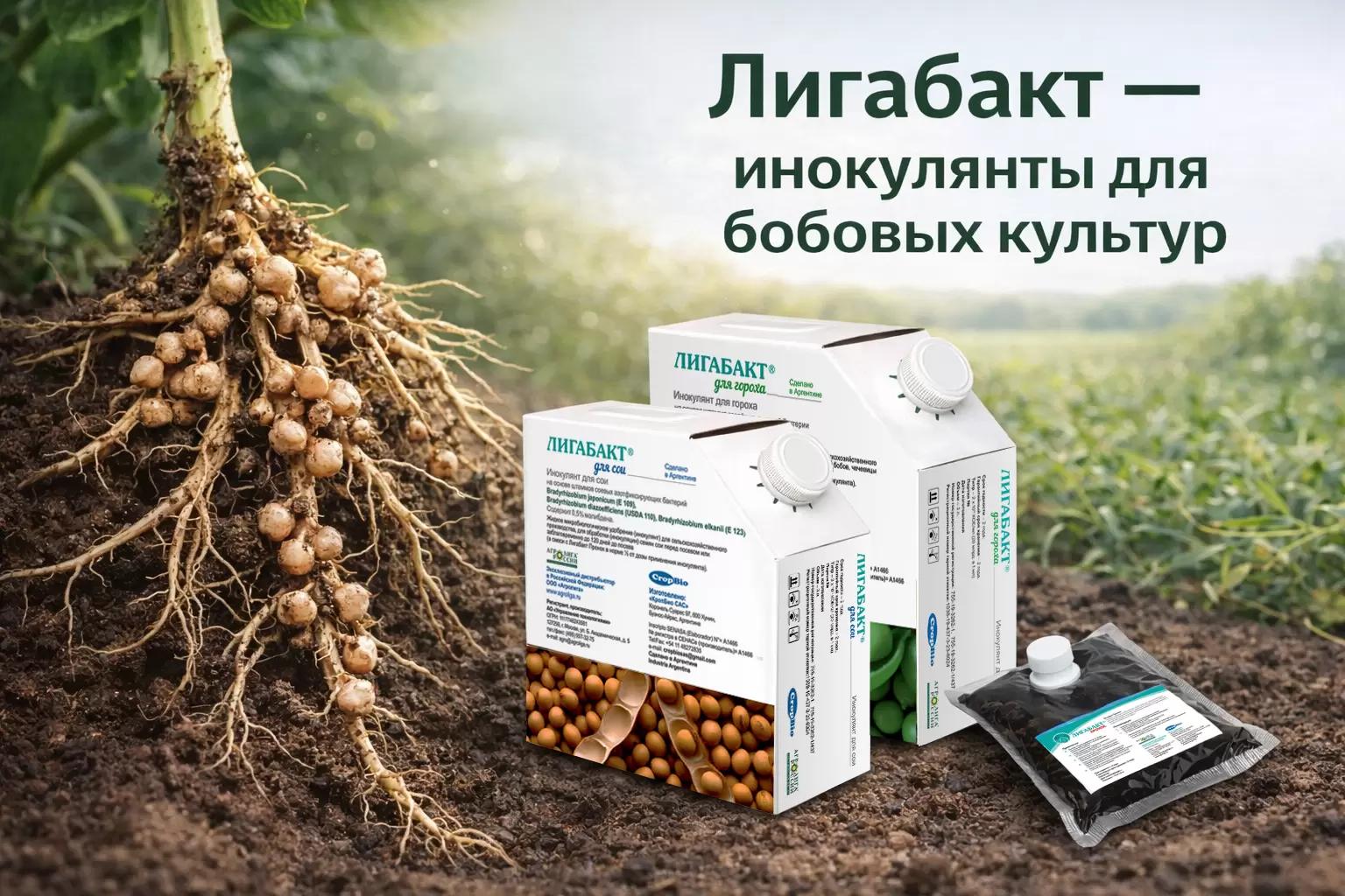 Управляемая азотфиксация как элемент технологии бобовых культур