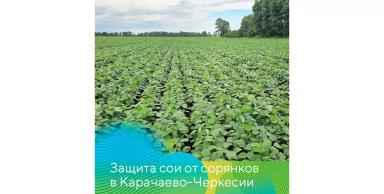 Соя без сорняков!