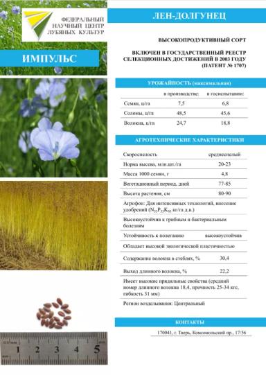 Импульс