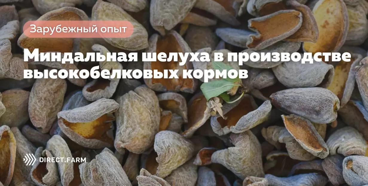 Миндальная шелуха в производстве высокобелковых кормов