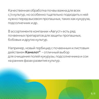 Готовьте почву правильно