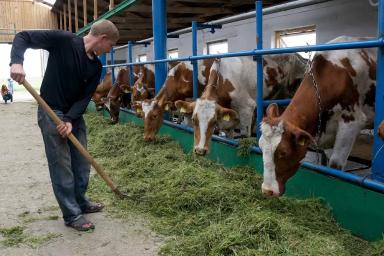 Обзор новостей за 16 мая